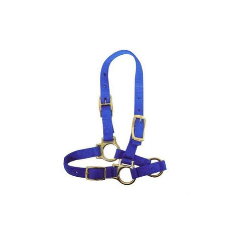 HALTER SHEEP & GOAT [Clr:Blue]