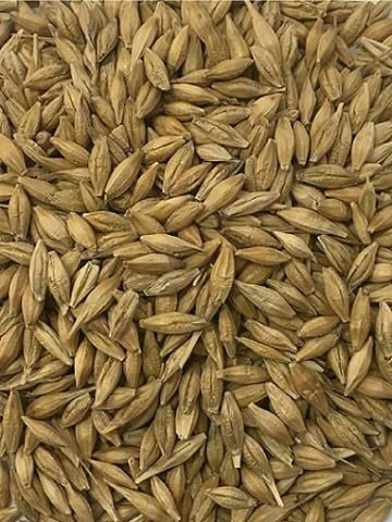 T&R WHOLE BARLEY 25KG