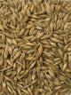 T&R WHOLE BARLEY 25KG