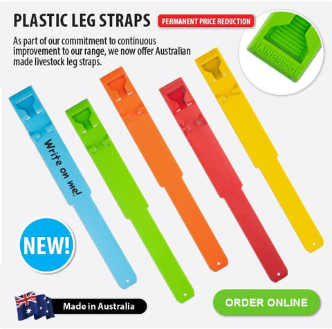 LEG STRAP PLASTIC [Clr:Green]