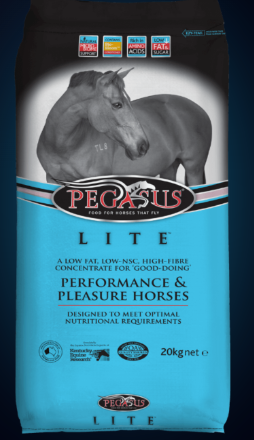 PEGASUS LITE 20KG
