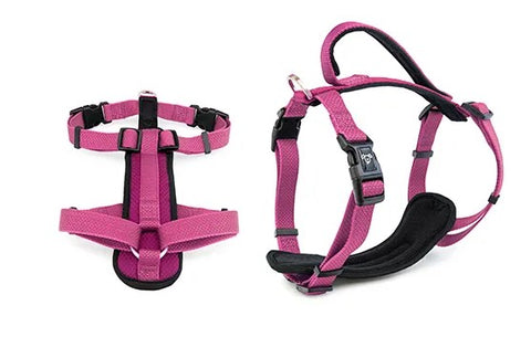 HARNESS PREMIUM 25MMX65-80CM PINK