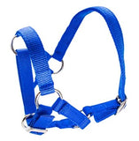 HALTER ALPACA [Size:Standard Clr:Blue]