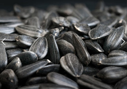 SUNFLOWER SEEDS BLACK 20KG