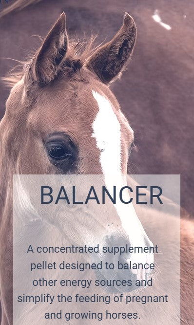 HARBISON BALANCER 20KG
