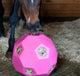 HAY PLAY BALL  GUTZBUSTA [Clr:Pink]