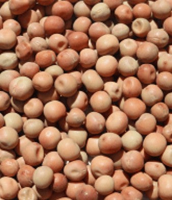 T&R PEAS WHOLE 20KG