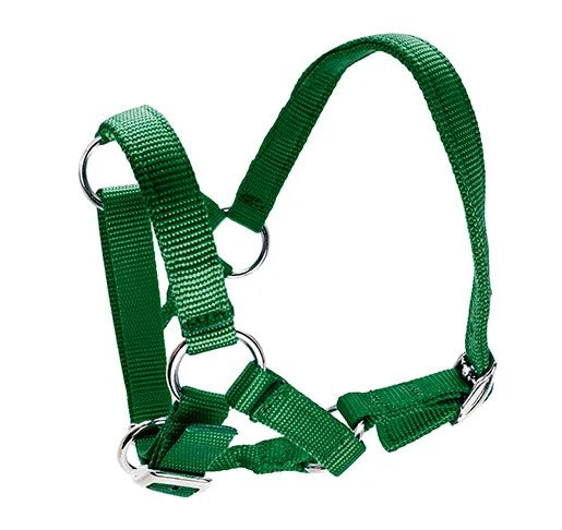 HALTER ALPACA [Size:Standard Clr:Green]