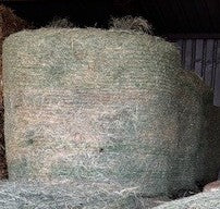 HAY RHODES GRASS [Size:5' Roll]