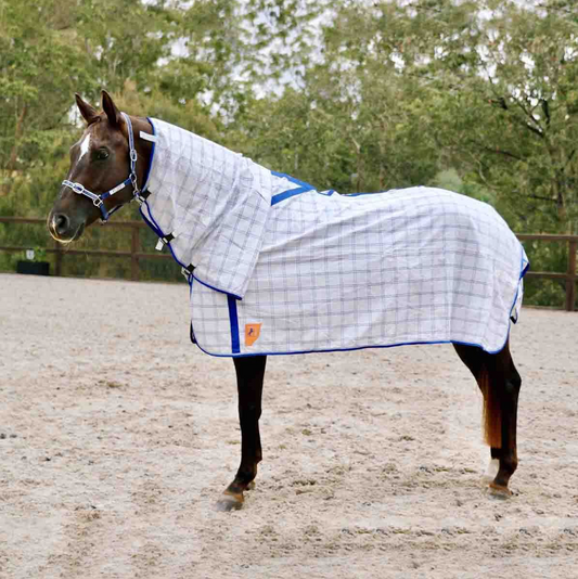 RUG DELUXE POLY COMBO BLUE CHECK [Size:5'9]