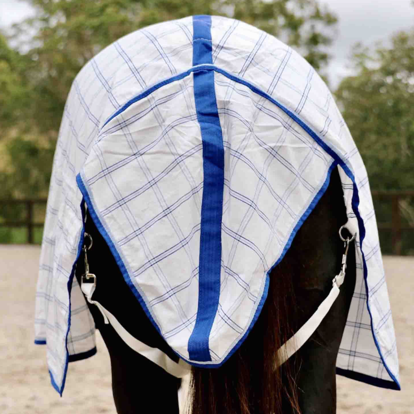 RUG DELUXE POLY COMBO BLUE CHECK [Size:5'9]