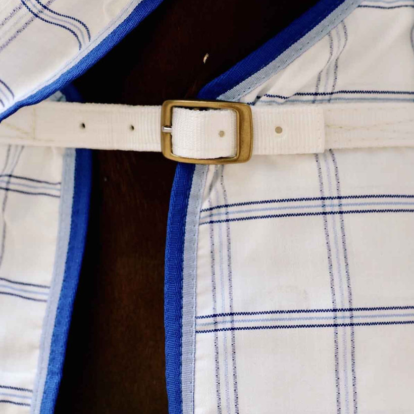RUG DELUXE POLY COMBO BLUE CHECK [Size:5'9]