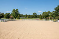 RIVER SAND SCREENED (PER SCOOP)