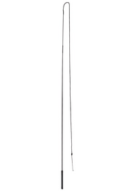 LUNGE WHIP BLACK 168CM