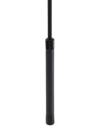 LUNGE WHIP BLACK 168CM