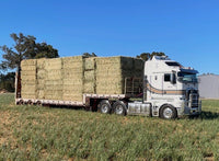 HAY RHODES GRASS [Size:Export Bale]