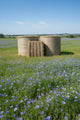 HAY MEADOW GV [Size:Bale]