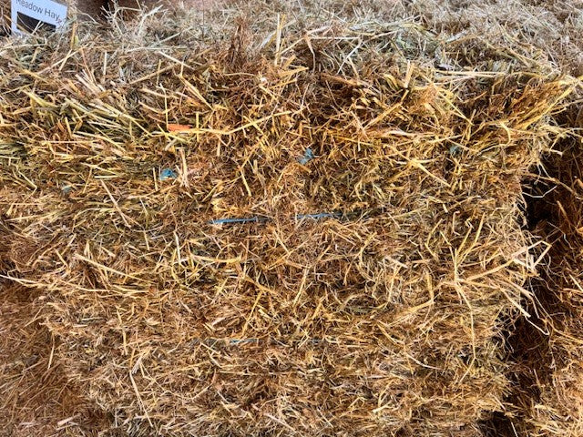 HAY MEADOW BALE GV