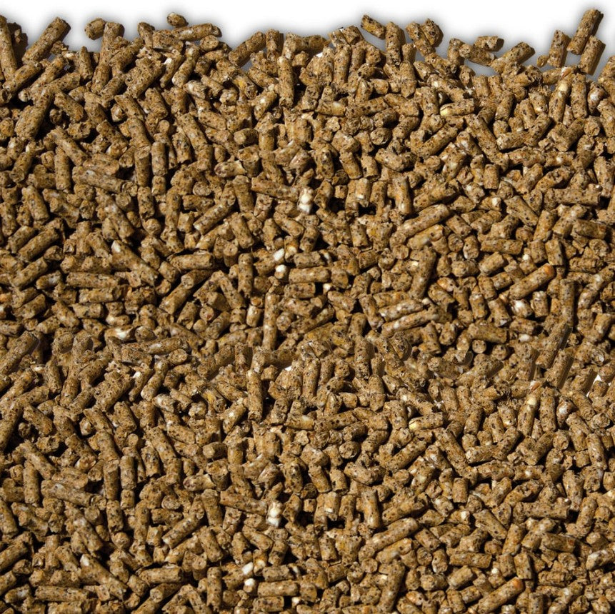 LAUCKE MILLS PULLET GROWER MP 20KG