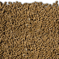 LAUCKE MILLS PULLET GROWER MP 20KG