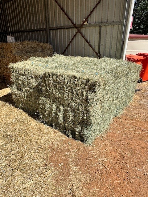 HAY RHODES BALE GV