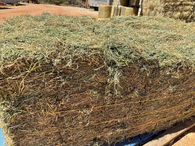 HAY RHODES LUCERNE MIX BALE GV