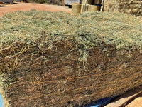 HAY RHODES LUCERNE MIX BALE GV