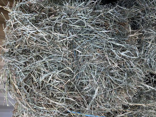 HAY RHODES LUCERNE MIX BALE GV