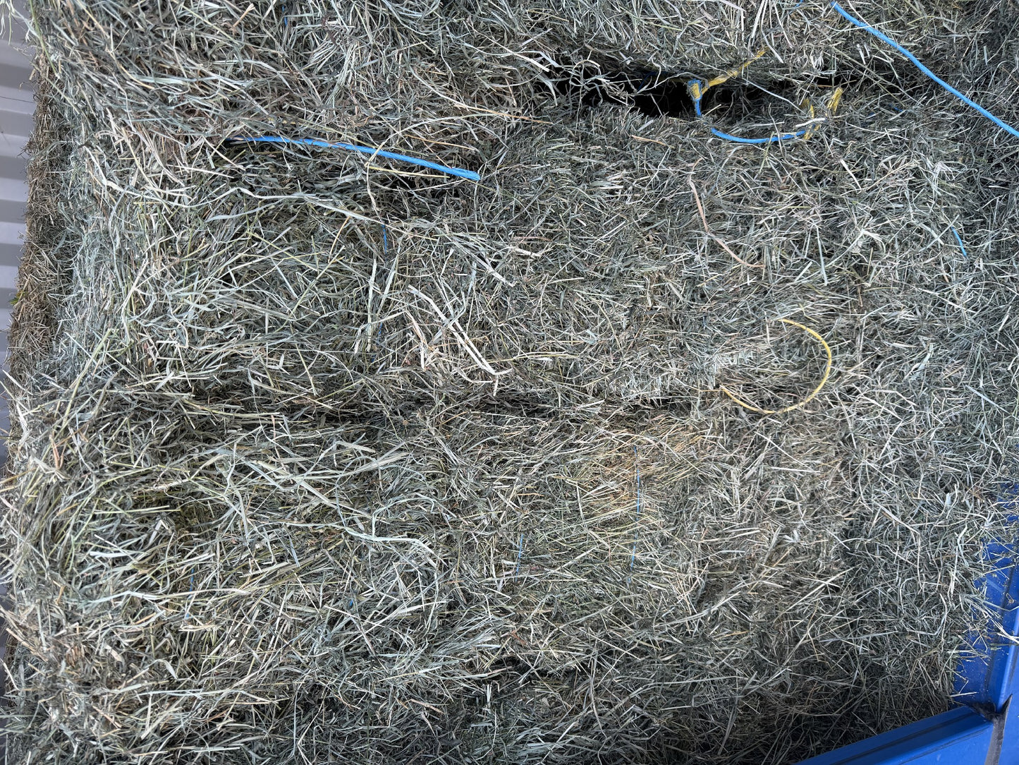 HAY RHODES LUCERNE MIX BALE GV
