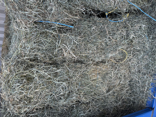 HAY RHODES LUCERNE MIX BALE GV