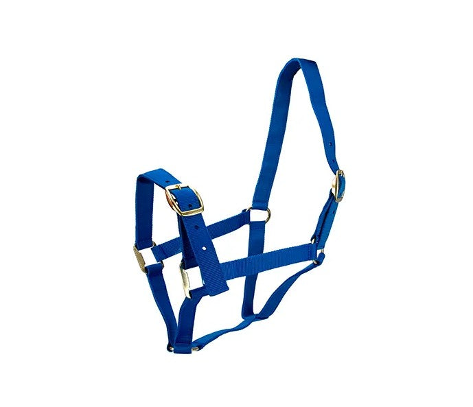 HALTER HORSE [Size:Pony Clr:Blue]