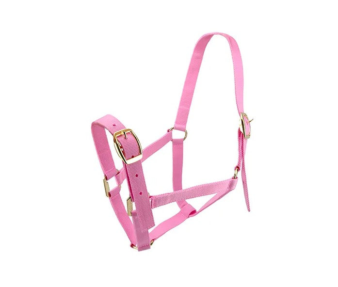 HALTER HORSE [Size:Pony Clr:Pink]