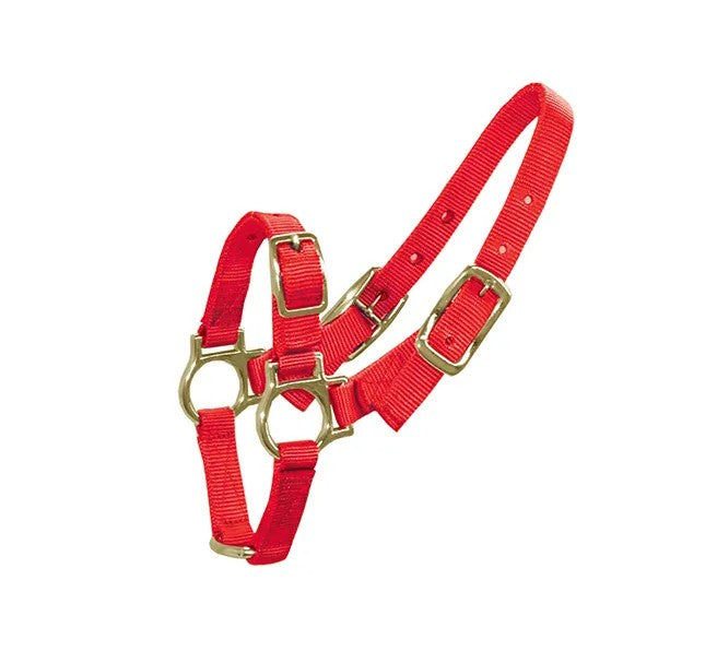 HALTER SHEEP & GOAT [Clr:Red]