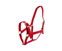 HALTER HORSE [Size:Pony Clr:Red]