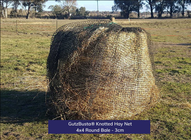 HAYNET GUTZBUSTA ROUND 30MM - DECELERATOR [Type:Knotted Size:Round 4' x 4' Clr:Black]