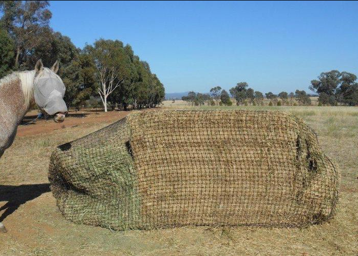 HAYNET GUTZBUSTA EXPORT LARGE BALE KNOTTED 30MM - DECELERATOR