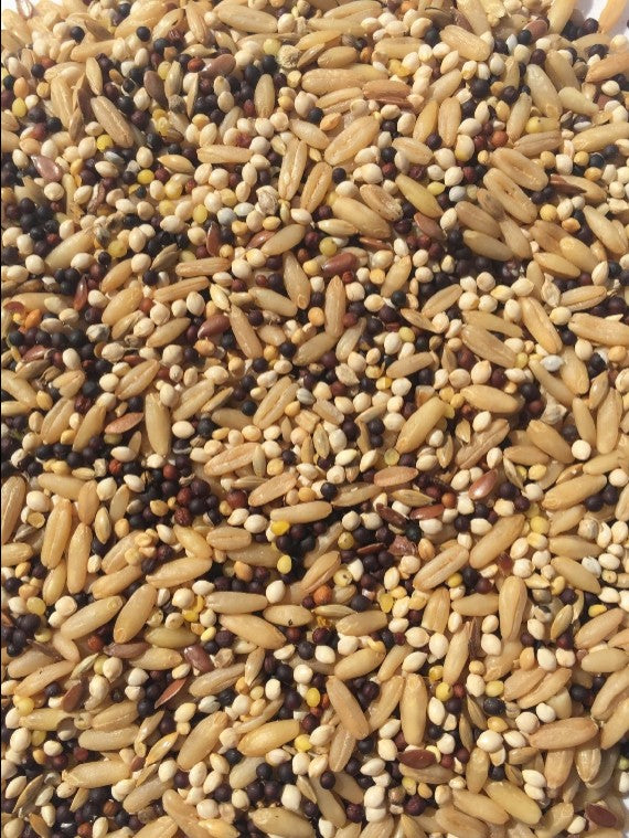 CANARY MIX TRIANGLE B.R [Size:20kg]