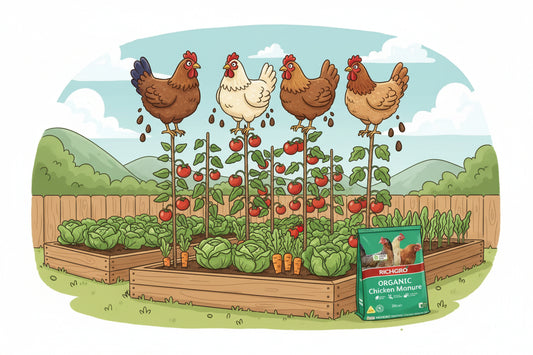 MANURE CHICKEN ORGANIC RICHGRO 25LTR