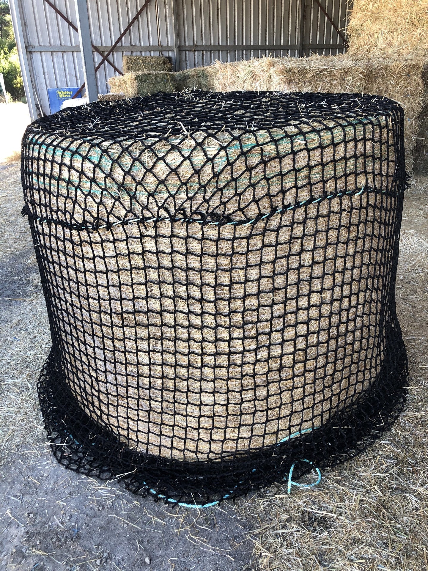 HAYNET ROUND GIDDY UP [Type:Round Size:4ft, 5cm hole, 78ply Clr:Black]