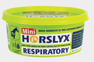 HORSLYX MINI VITAMIN & MINERAL LICK 650G [Opt:Respiratory]
