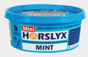 HORSLYX MINI VITAMIN & MINERAL LICK 650G [Opt:Mint]