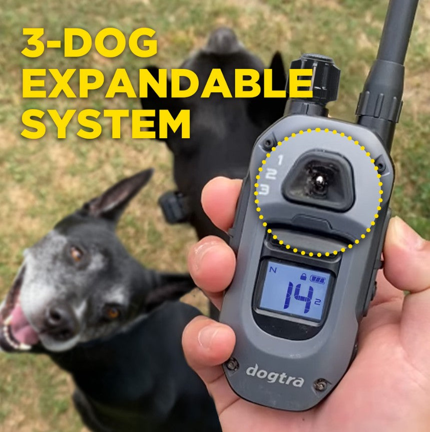DOGTRA 280X DOG TRAINING COLLAR - 800M