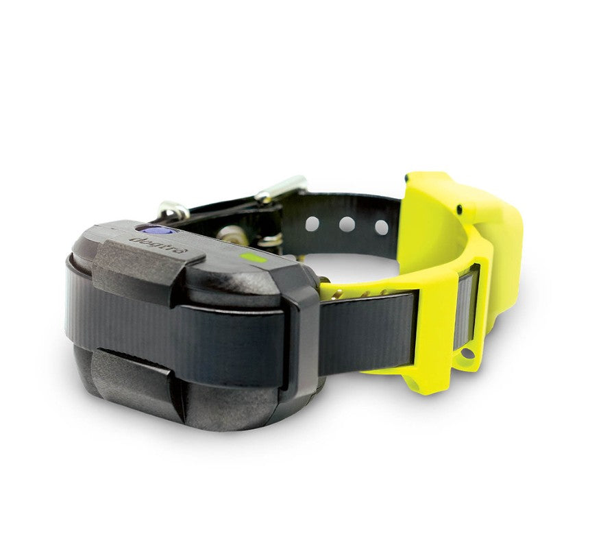 DOGTRA GPS DOG FENCE SYSTEM