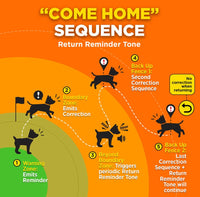 DOGTRA GPS DOG FENCE SYSTEM