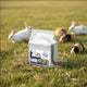 MULTICUBE SMALL ANIMAL LUCERNE & OATEN CUBES 2KG
