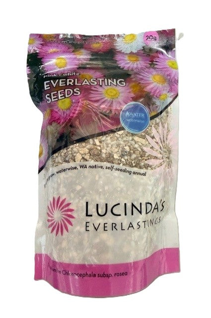 SEED - EVERLASTINGS PINK AND WHITE [Size:20grms]