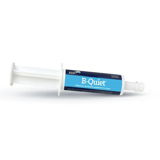 KER B-QUIET PASTE 30G