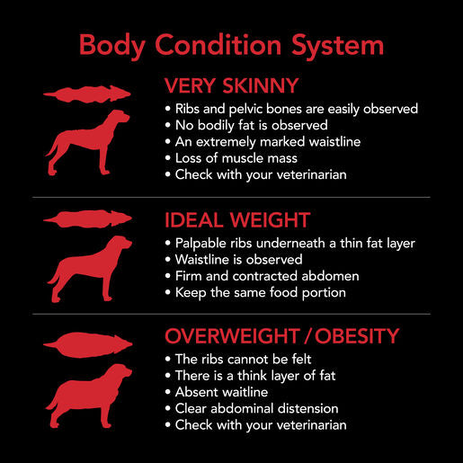 SUPERCOAT SMARTBLEND ADULT DOG FOOD WITH CHICKEN 18KG