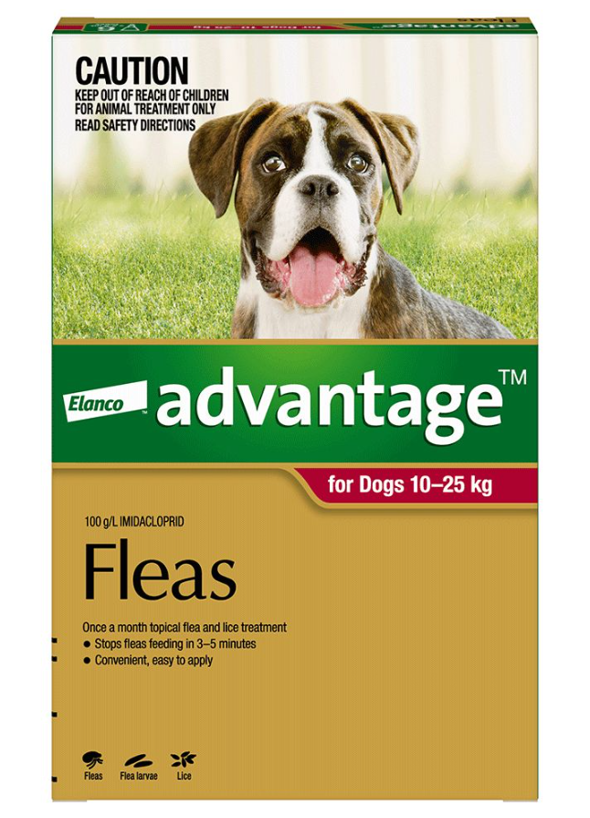 ADVANTAGE FOR DOGS 10-25KGS LARGE 4PACK