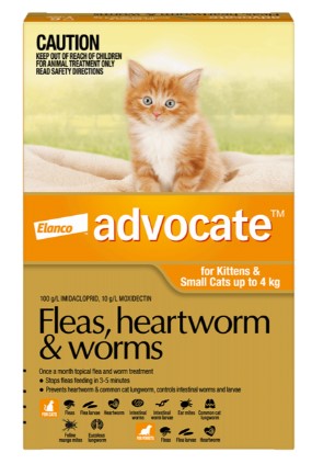 ADVOCATE CAT UNDER 4KG PLUS 3's ORANGE